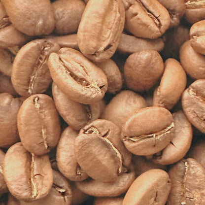 ECUADOR RANCHO TIO EMILIO *LIMITED RELEASE*